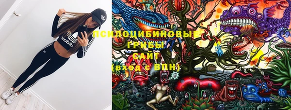 spice Абдулино