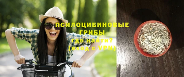 прущий лед Алзамай