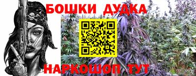 сатива Пенза